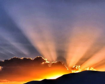 12 Good Morning Psalms For Prayer And Praise As You Start Your Day