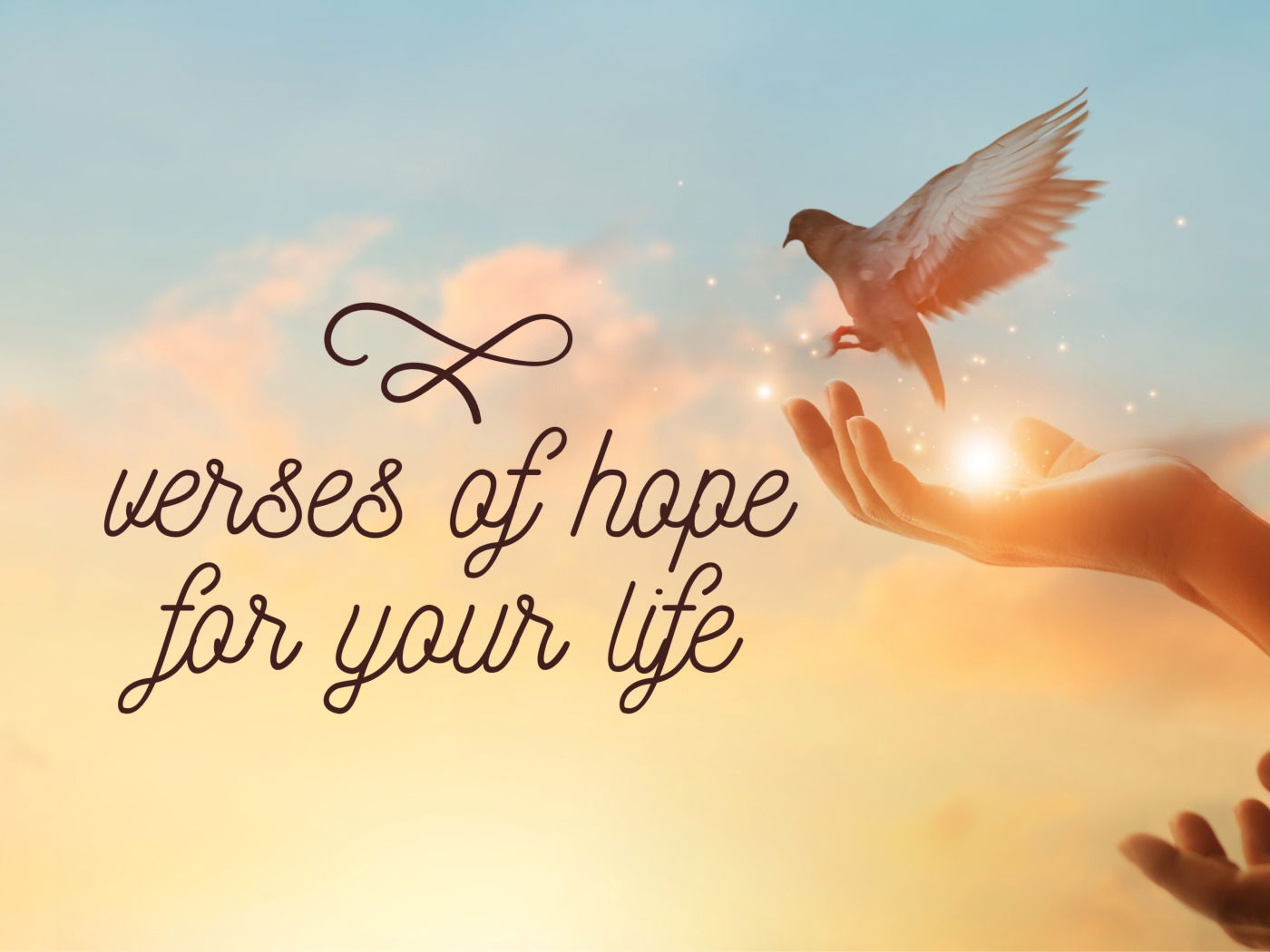 Scriptures on hope for your life 12 beautiful bible verses bible