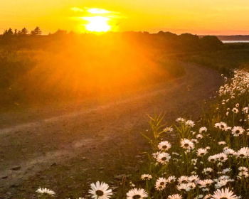 21 Bible Verses about God's Plans for You in 2025 (for Guidance and Purpose)