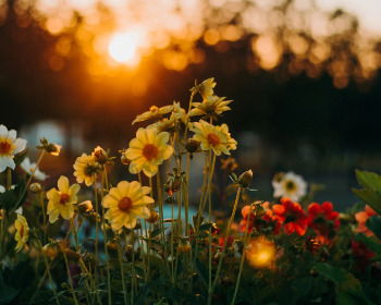 21 Good Afternoon Blessings, Messages, Prayers And Happy Quotes