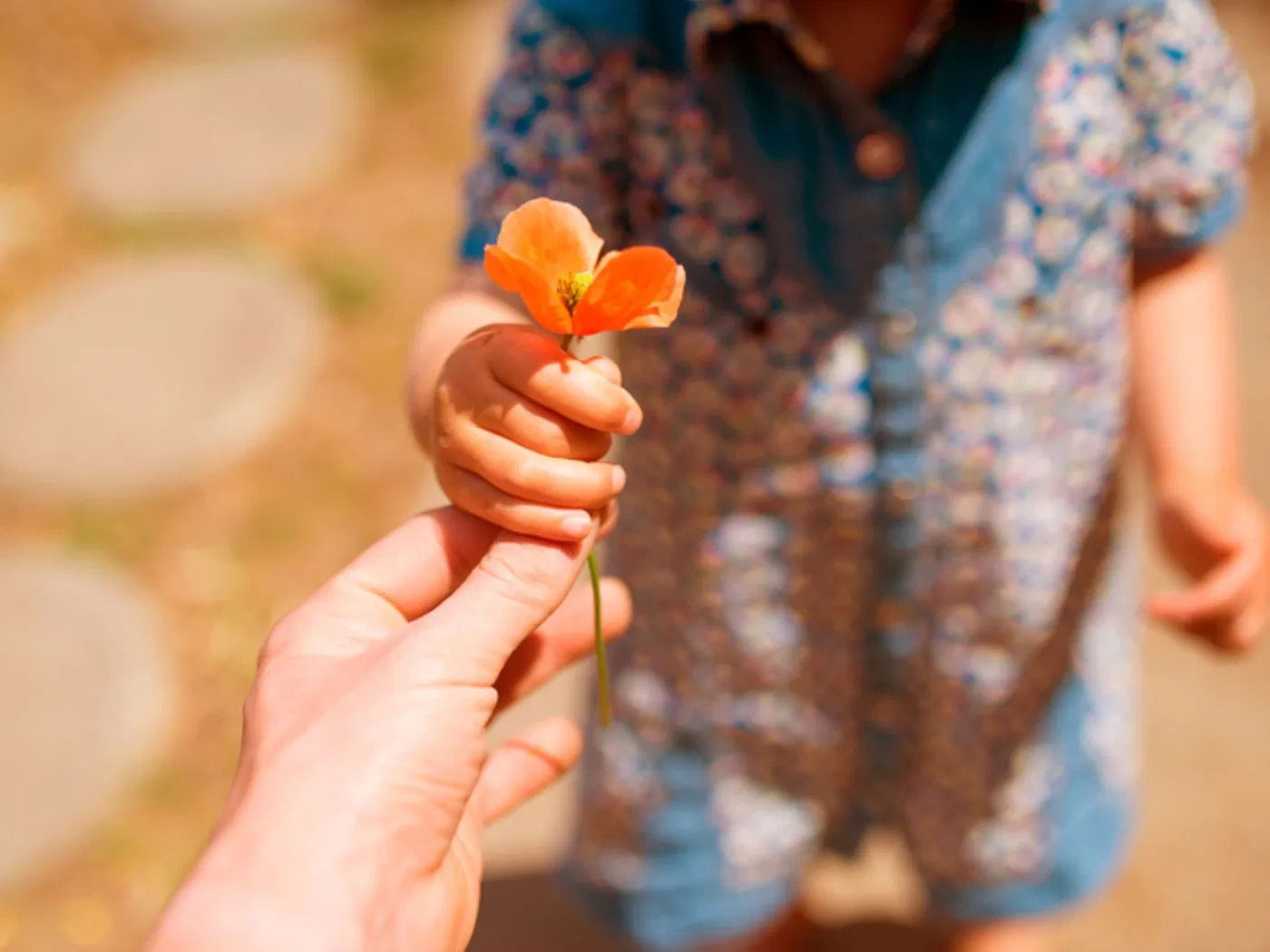 Life Changing Examples