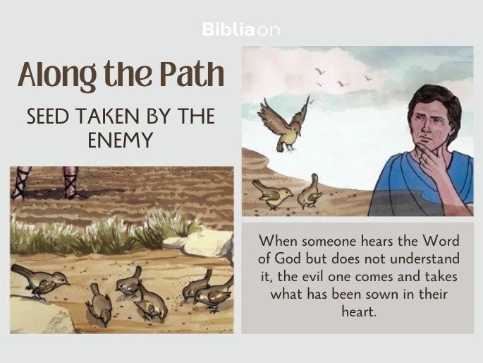 Parable of the Sower - images of birds eating seeds on the path, those who hear and do not understand the Word of God