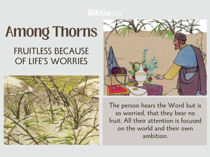 Parable of the Sower - image of seeds among thorns, unfruitful seed because of worldly concern