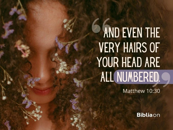 And even the very hairs of your head are all numbered. Matthew 10:30