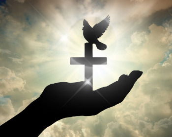 26 Bible Verses On Hope For Your Life