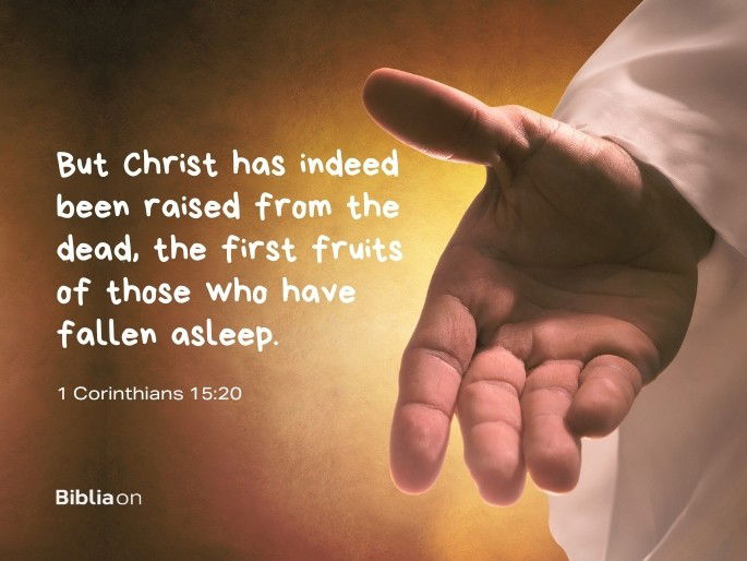 Biblical Reflection: 1 Corinthians 15:20