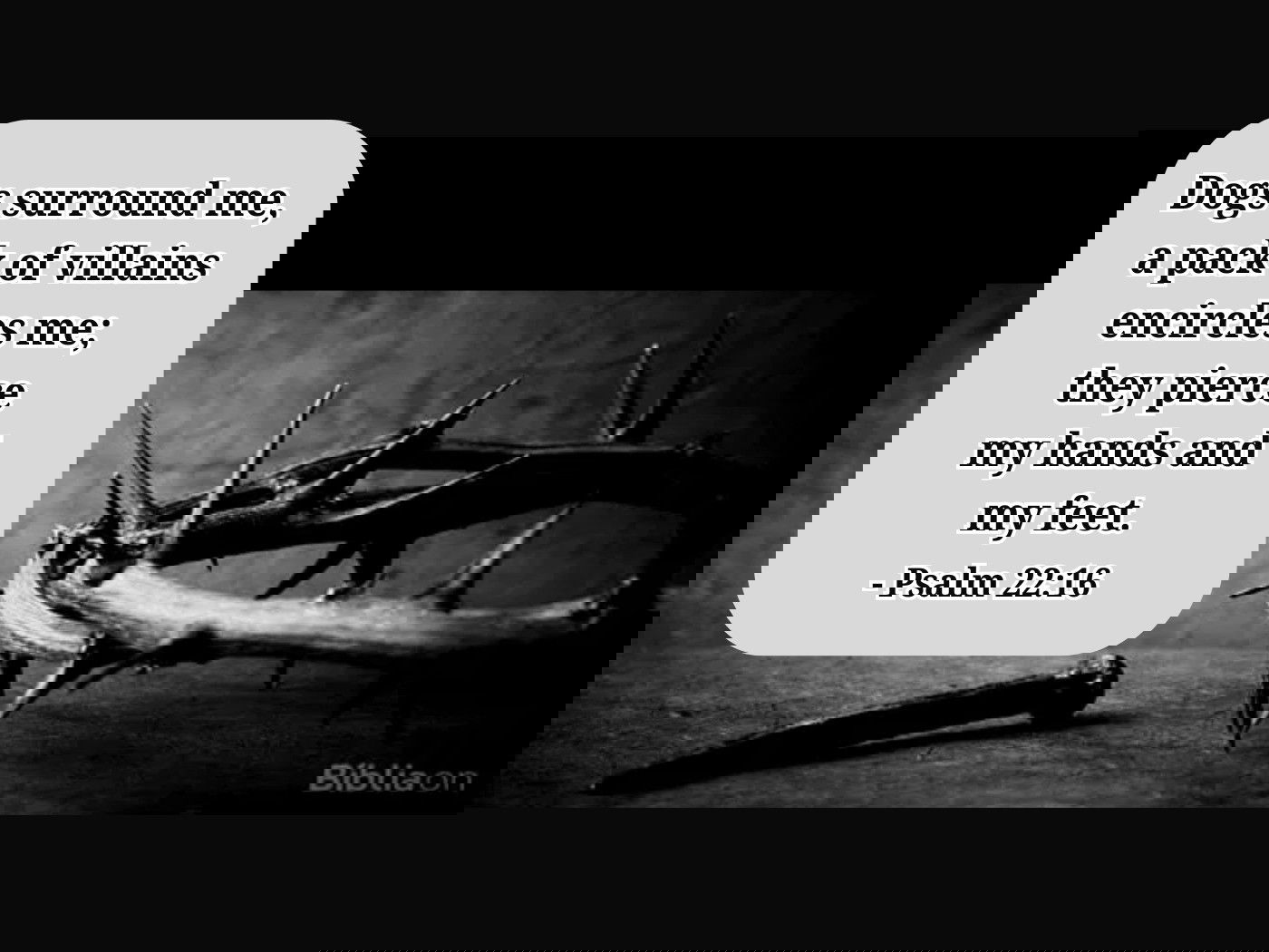 Dogs surround me,  a pack of villains encircles me;  they pierce  my hands and  my feet. - Psalm 22:16