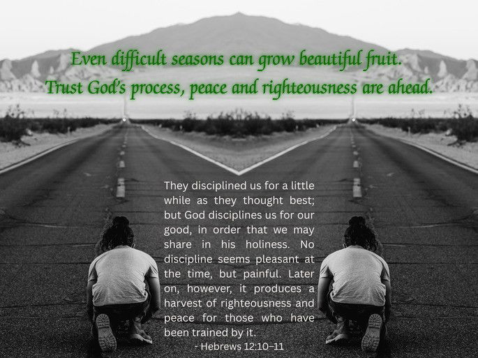 Encouragement: Even difficult seasons can grow beautiful fruit. Trust God’s process, peace and righteousness are ahead.