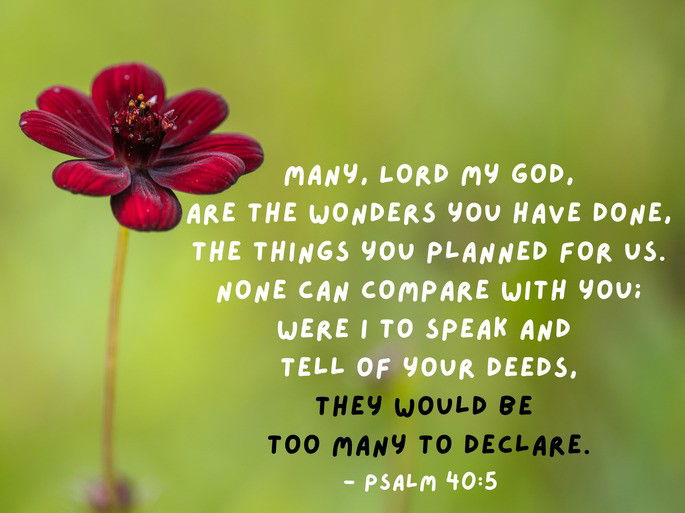 Many, Lord my God, are the wonders you have done, the things you planned for us. None can compare with you; were I to speak and tell of your deeds, they would be too many to declare - Psalm 40:5.