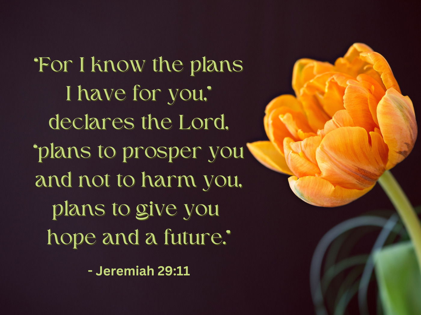 For I know the plans I have for you,” declares the Lord , “plans to prosper you and not to harm you, plans to give you hope and a future