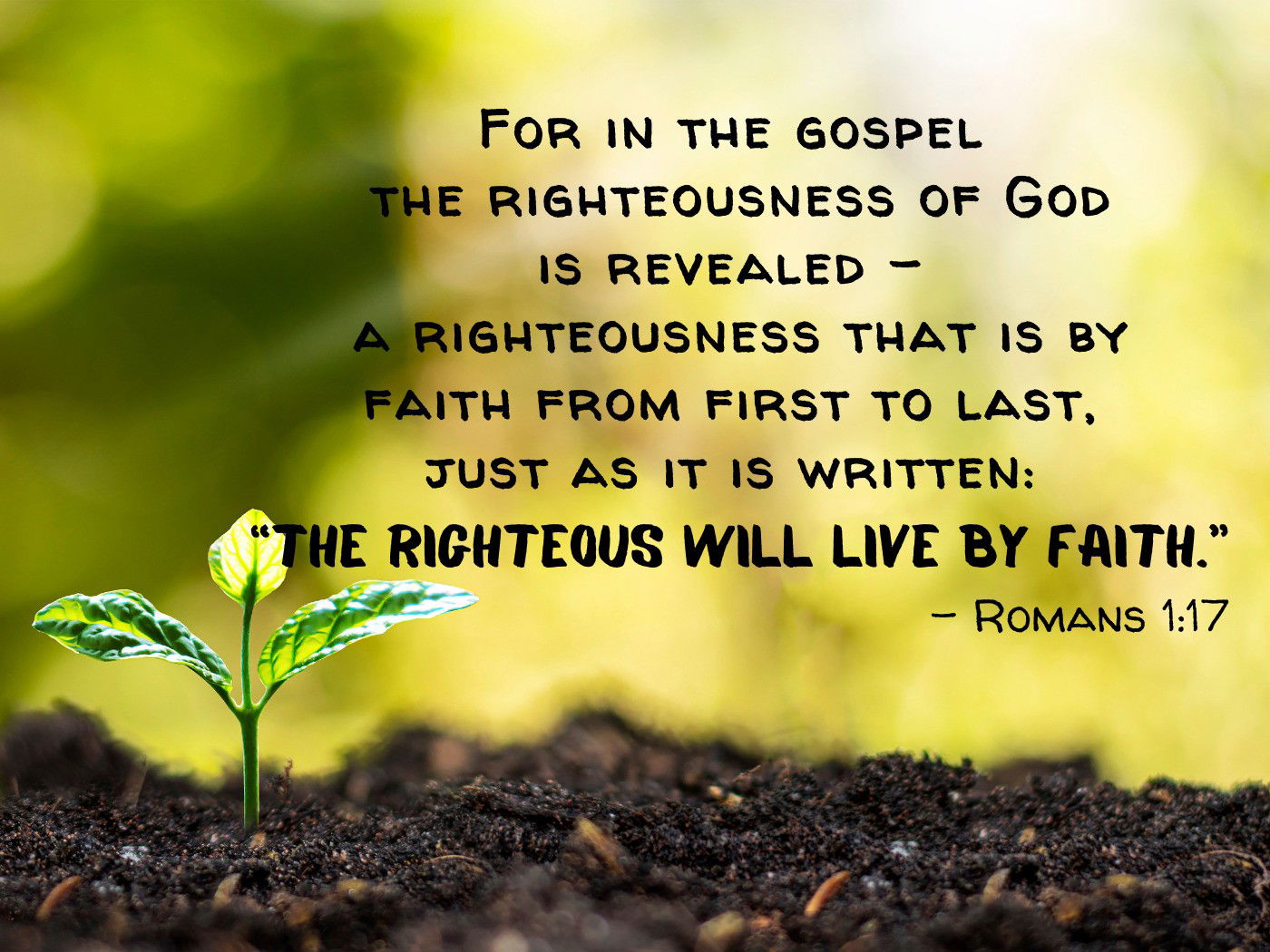 The righteous will live by faith