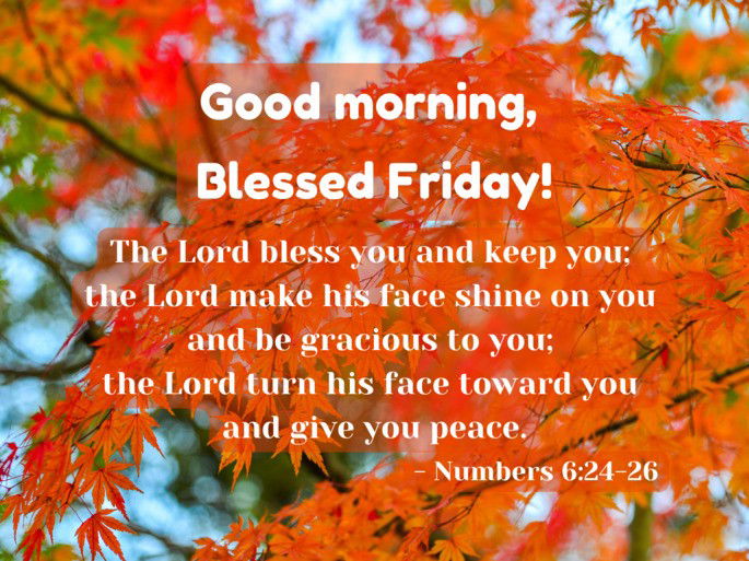 Happy Friday: The Lord bless you and keep you