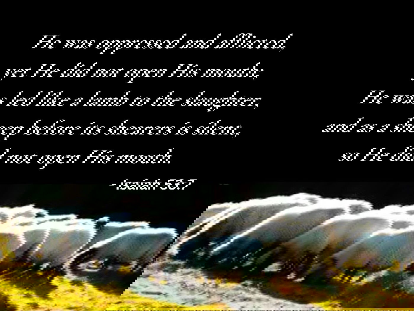 He was oppressed and afflicted,  yet He did not open His mouth;  He was led like a lamb to the slaughter,  and as a sheep before its shearers is silent,  so He did not open His mouth. - Isaiah 53:7