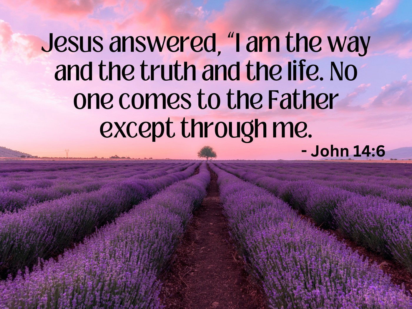 I am the way, the truth and the life - John 14:6