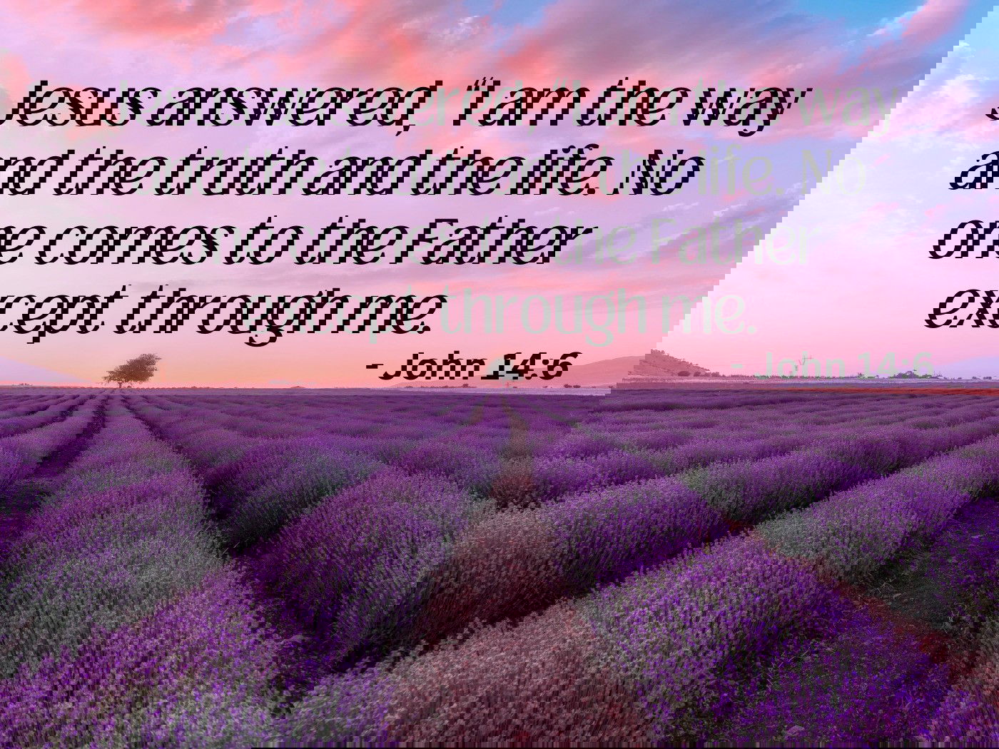 I am the way, the truth and the life