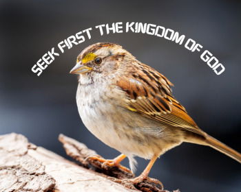 Mathew 6:33 - Seek first the Kingdom of God: What Jesus Meant by this Phrase