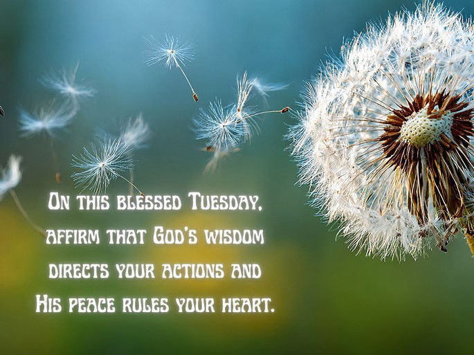 On this blessed Tuesday, affirm that God‘s wisdom directs your actions and His peace rules your heart.