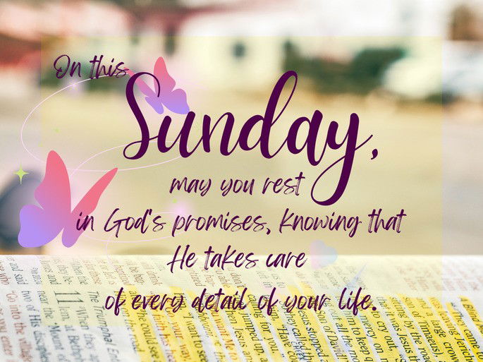On this Sunday, may you rest  in God‘s promises, knowing that  He takes care  of every detail of your life.