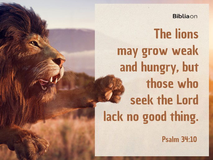 “The lions may grow weak and hungry, but those who seek the Lord lack no good thing." Psalm 34:10