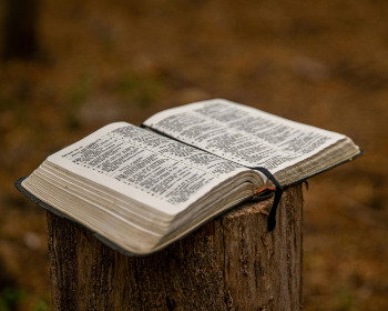 Sermon Outline on Thomas's Unbelief