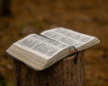 Sermon Outline on Thomas's Unbelief