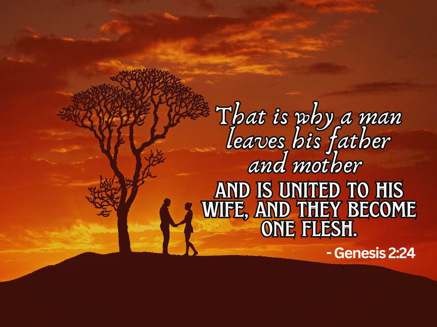 That is why a man leaves his father and mother and is united to his wife, and they become one flesh. Gen 2:24