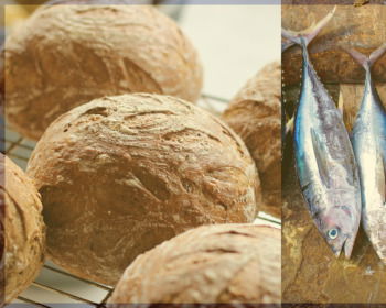 The Multiplication of The Loaves And Fishes: Explanation, Lessons, And Practical Application (Bible Study)