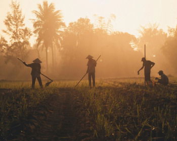 The Parable of the Faithful and Wise Servant: Lessons on Responsibility and Readiness