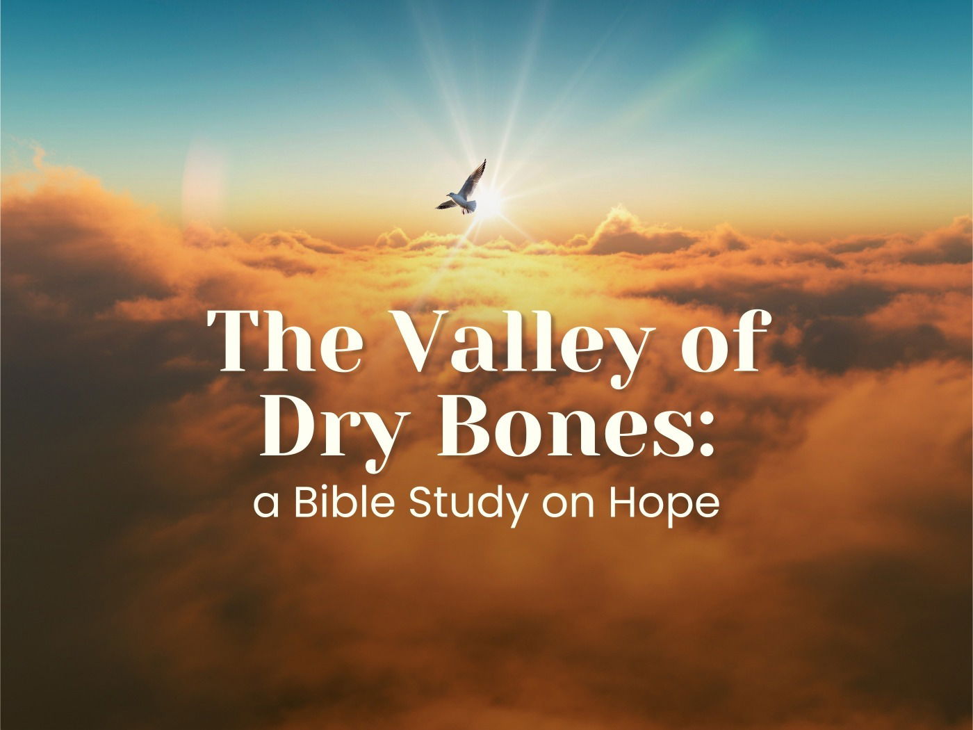 The Valley of Dry Bones: a Bible Study on Hope - Bible