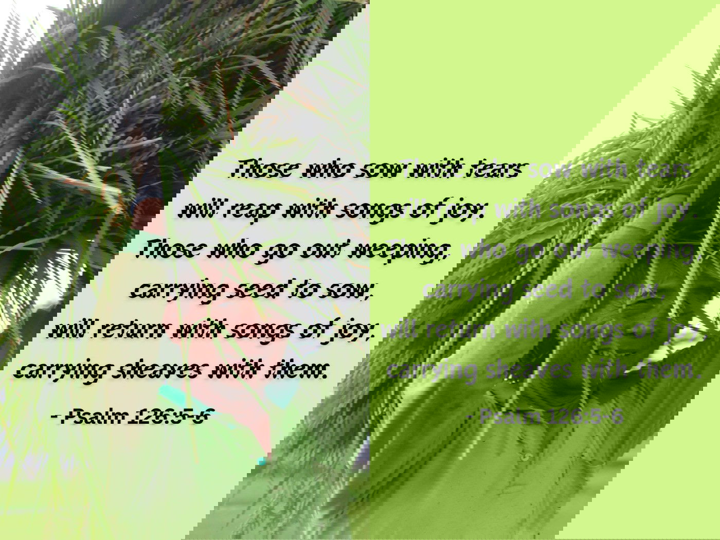 Those who sow with tears will reap with songs of joy. Those who go out weeping, carrying seed to sow, will return with songs of joy, carrying sheaves with them. - Psalm 126:5-6
