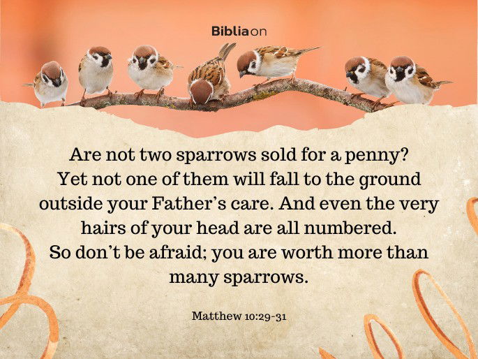 29 Are not two sparrows sold for a penny? Yet not one of them will fall to the ground outside your Father’s care. 30 And even the very hairs of your head are all numbered. 31 So don’t be afraid; you are worth more than many sparrows. Matthew 10:29-31