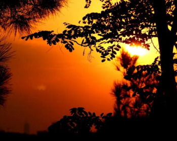 Bible Verses About the Second Coming of Jesus Christ