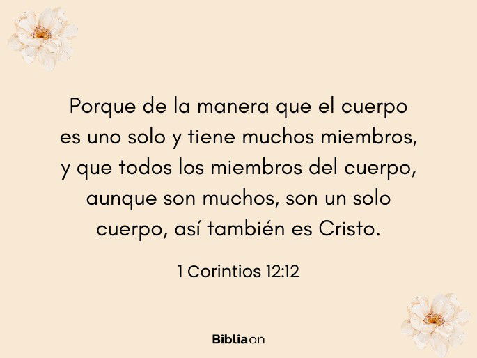 Porque de la manera que el cuerpo es uno solo y tiene muchos miembros, y que todos los miembros del cuerpo, aunque son muchos, son un solo cuerpo, así también es Cristo. (1 Corintios 12:12)