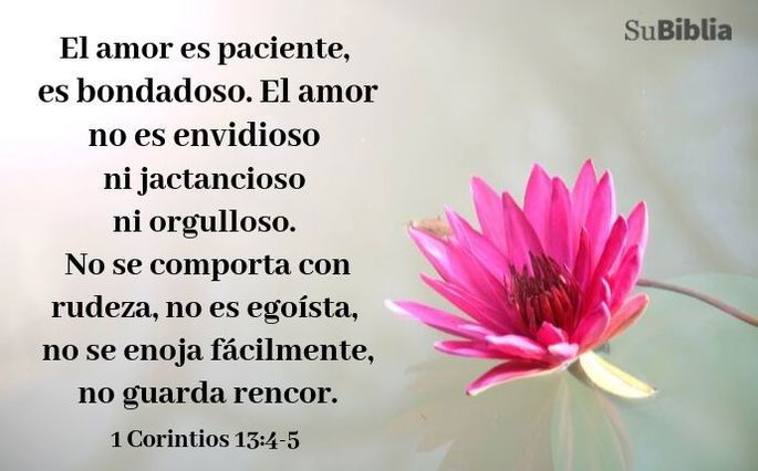 El amor es paciente, es bondadoso. El amor no es envidioso ni jactancioso ni orgulloso. No se comporta con rudeza, no es egoísta, no se enoja fácilmente, no guarda rencor. (1 Corintios 13:4-5)