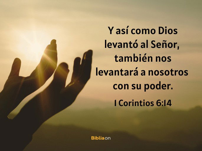 Y así como Dios levantó al Señor, también nos levantará a nosotros con su poder. (1 Corintios 6:14)