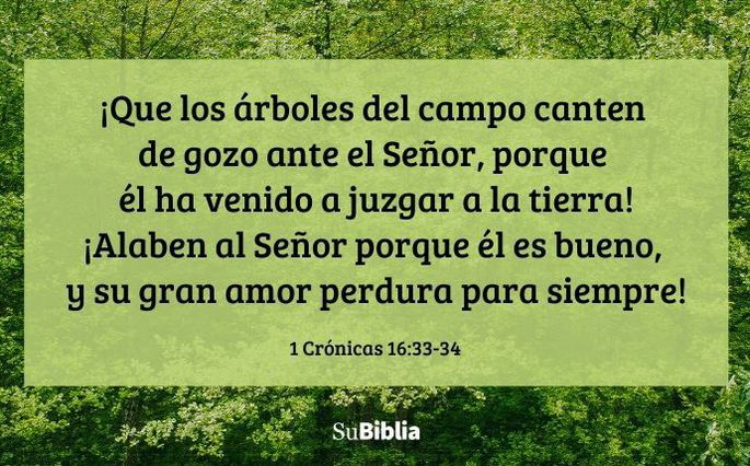 ¡Que los árboles del campo canten de gozo ante el Señor, porque él ha venido a juzgar a la tierra! ¡Alaben al Señor porque él es bueno, y su gran amor perdura para siempre! (1 Crónicas 16:33-34)