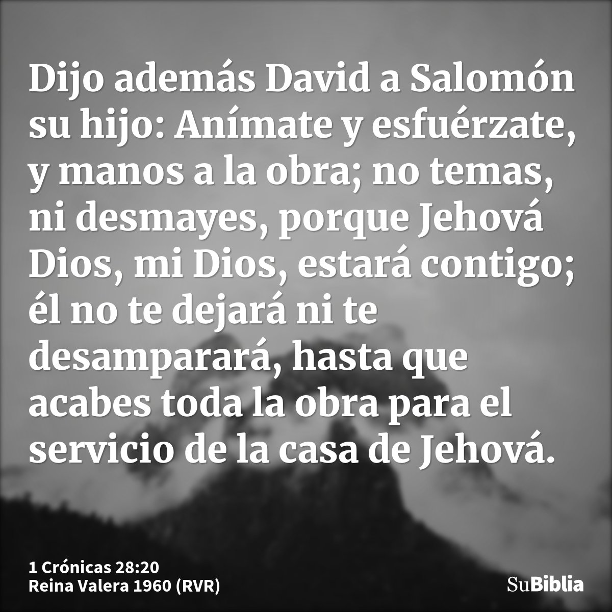 Dijo además David a Salomón su hijo: Anímate y esfuérzate, y manos a la obra; no temas, ni desmayes, porque Jehová Dios, mi Dios, estará contigo; él no te dejar...