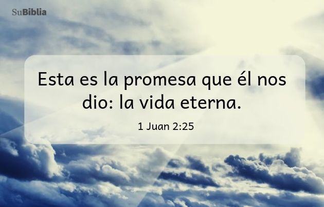 Esta es la promesa que él nos dio: la vida eterna. (1 Juan 2:25)