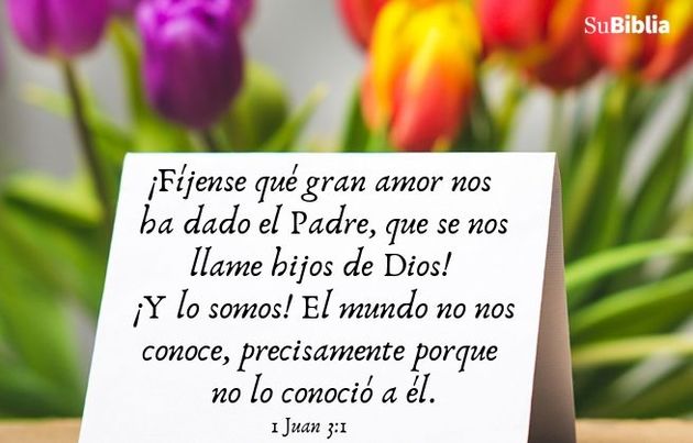 ¡Fíjense qué gran amor nos ha dado el Padre, que se nos llame hijos de Dios! ¡Y lo somos! El mundo no nos conoce, precisamente porque no lo conoció a él. (1 Juan 3:1)