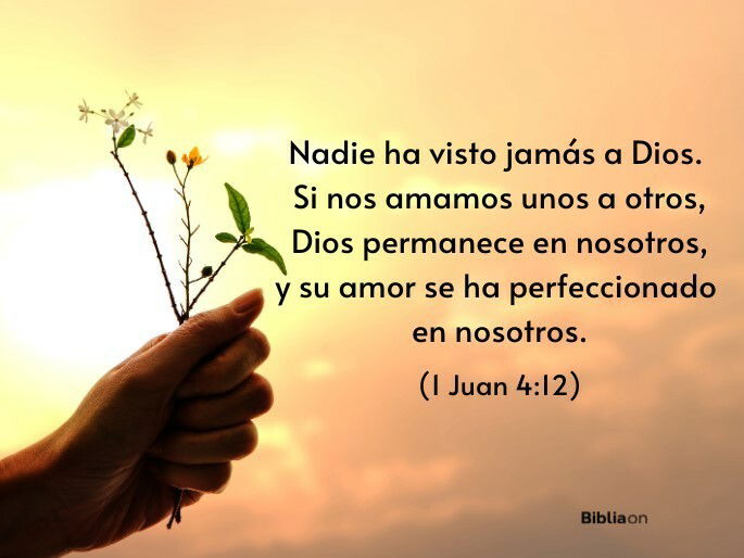 Nadie ha visto jamás a Dios. Si nos amamos unos a otros, Dios permanece en nosotros, y su amor se ha perfeccionado en nosotros. (1 Juan 4:12)