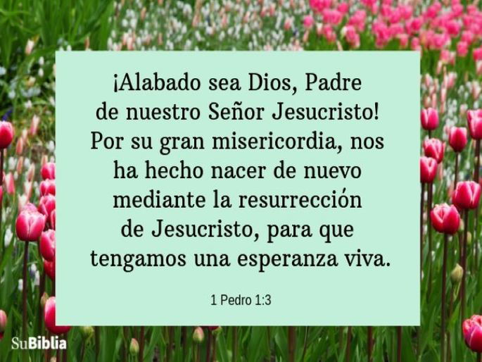 ¡Alabado sea Dios, Padre de nuestro Señor Jesucristo! Por su gran misericordia, nos ha hecho nacer de nuevo mediante la resurrección de Jesucristo, para que tengamos una esperanza viva (1 Pedro 1:3)