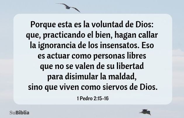 Porque esta es la voluntad de Dios: que, practicando el bien, hagan callar la ignorancia de los insensatos. Eso es actuar como personas libres que no se valen de su libertad para disimular la maldad, sino que viven como siervos de Dios. (1 Pedro 2:15-16)