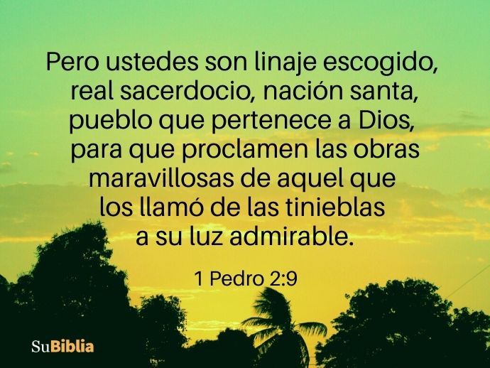 Pero ustedes son linaje escogido, real sacerdocio, nación santa, pueblo que pertenece a Dios, para que proclamen las obras maravillosas de aquel que los llamó de las tinieblas a su luz admirable. (1 Pedro 2:9)