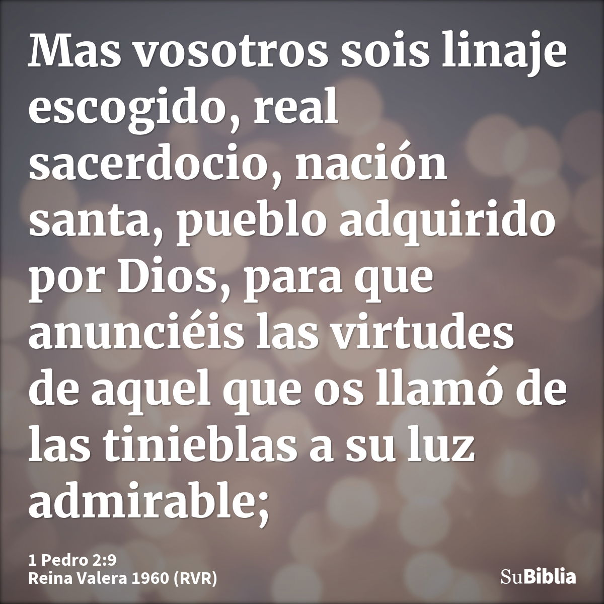 1 Pedro 2 9 Biblia