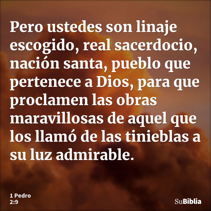 Pero ustedes son linaje escogido, real sacerdocio, nación santa, pueblo que pertenece a Dios, para que proclamen las obras maravillosas de aquel que los llamó d... --- 1 Pedro 2:9