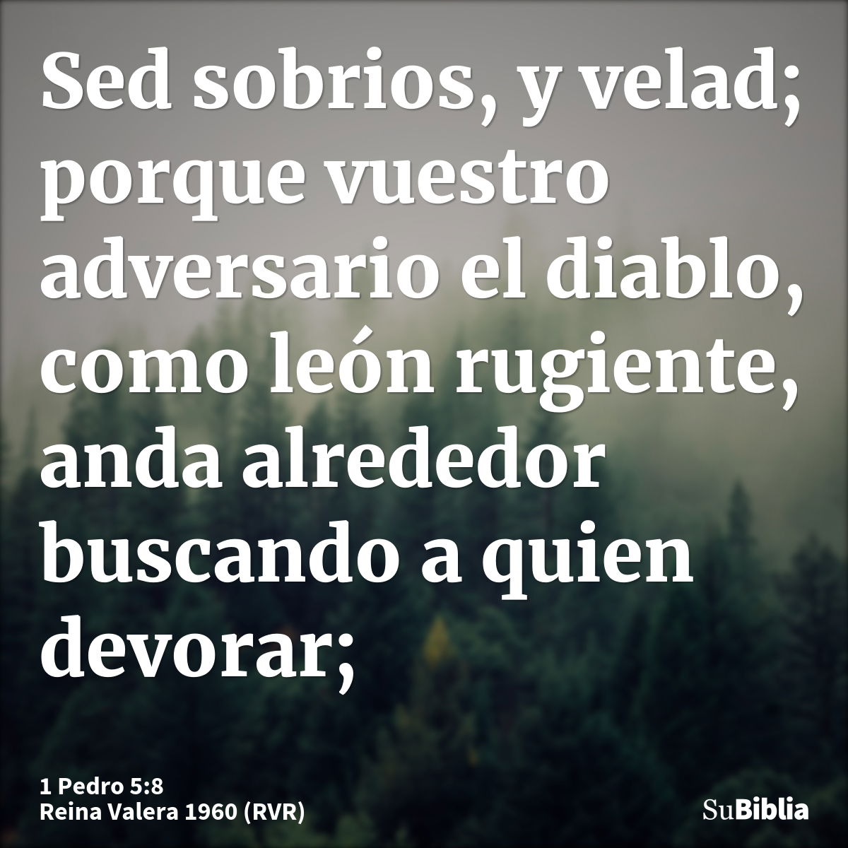 Sed sobrios, y velad; porque vuestro adversario el diablo, como león rugiente, anda alrededor buscando a quien devorar;