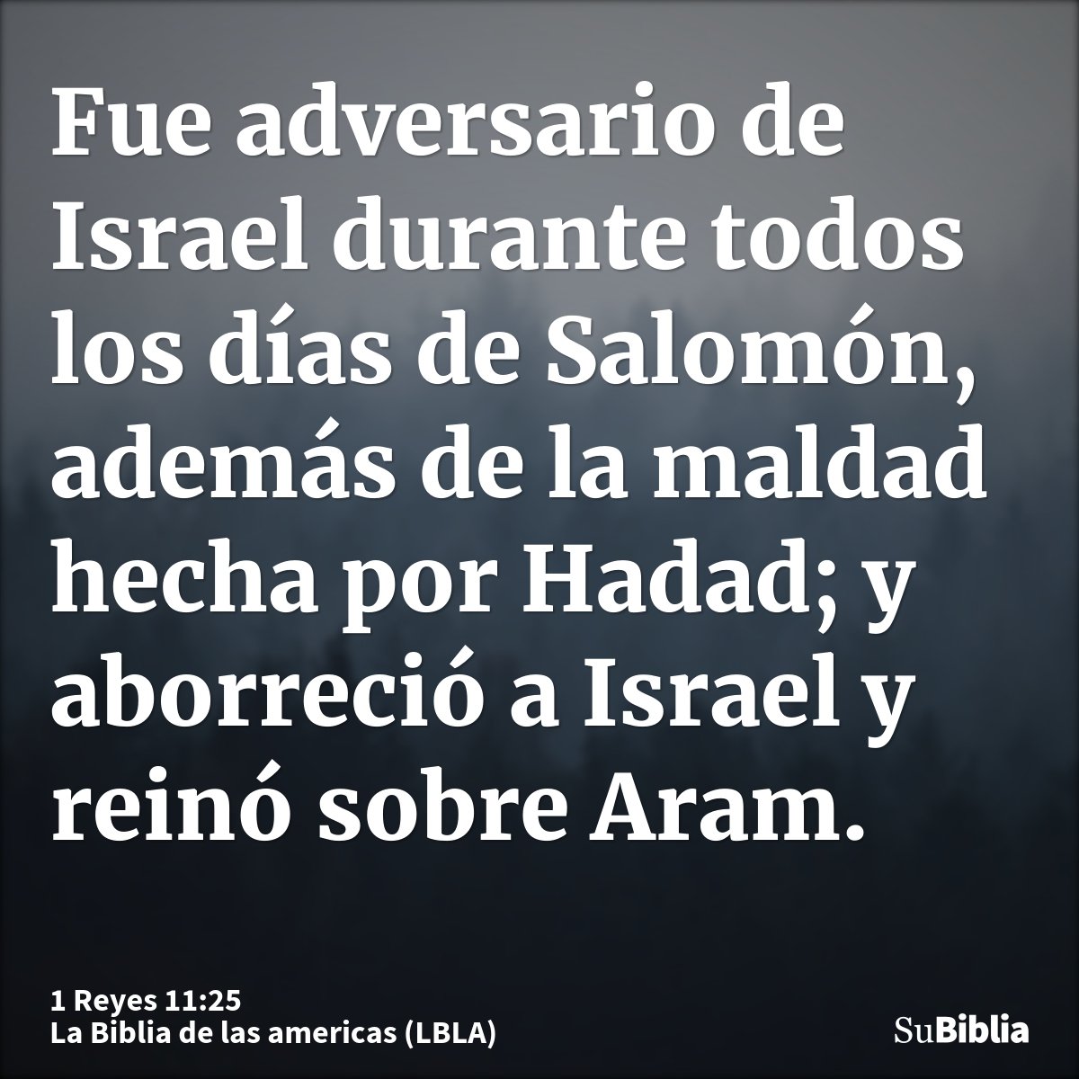 Fue adversario de Israel durante todos los días de Salomón, además de la maldad hecha por Hadad; y aborreció a Israel y reinó sobre Aram.