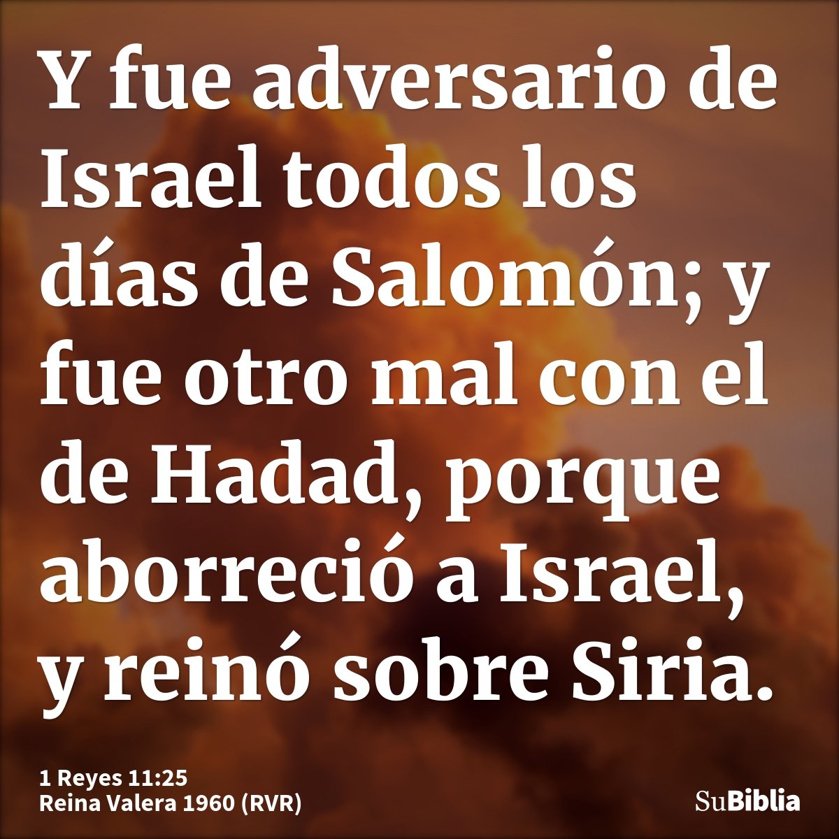 Y fue adversario de Israel todos los días de Salomón; y fue otro mal con el de Hadad, porque aborreció a Israel, y reinó sobre Siria.