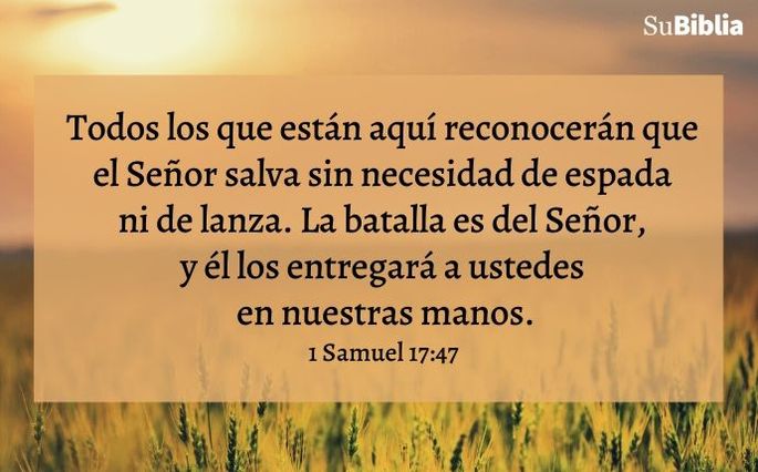 1 Samuel 17:47
