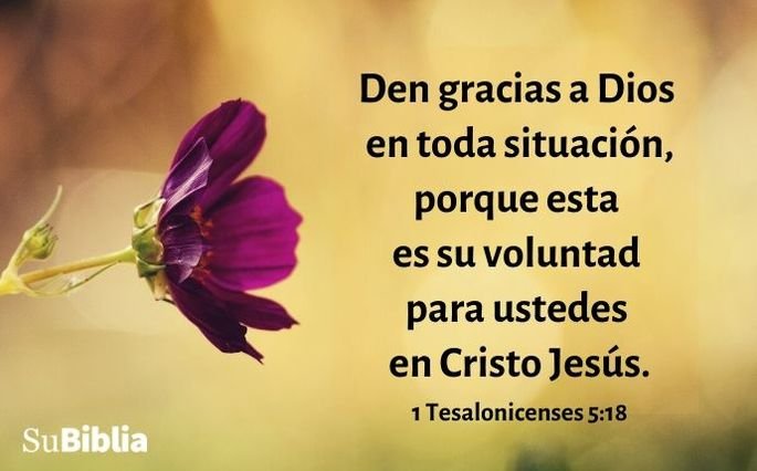 Den gracias a Dios en toda situación, porque esta es su voluntad para ustedes en Cristo Jesús. (1 Tesalonicenses 5:18)